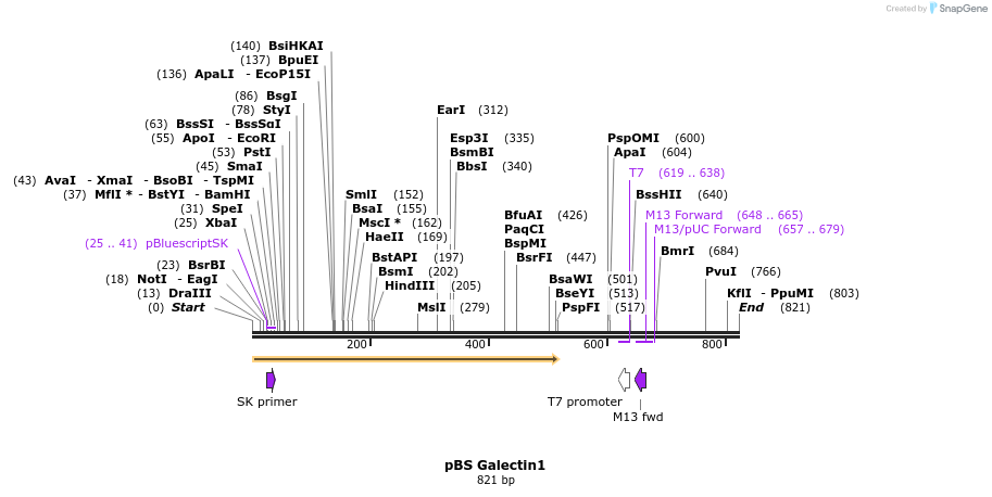 25014_map