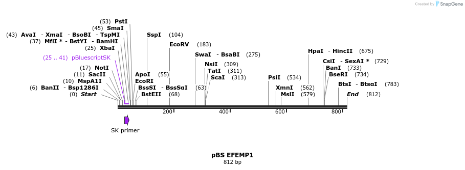 25017_map