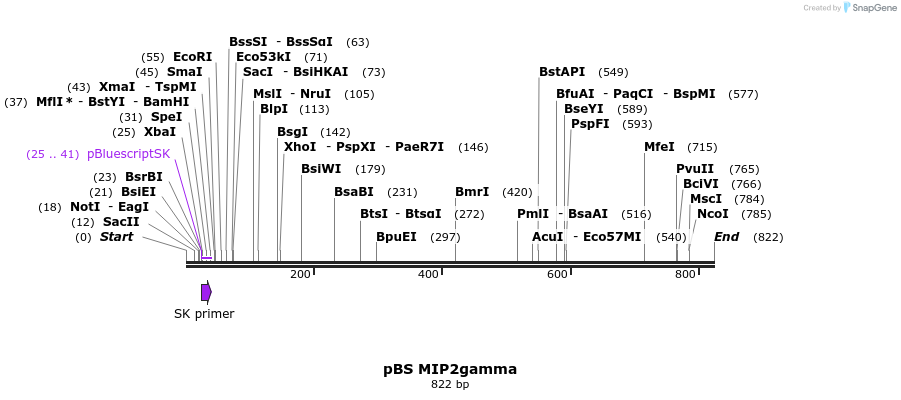 25020_map