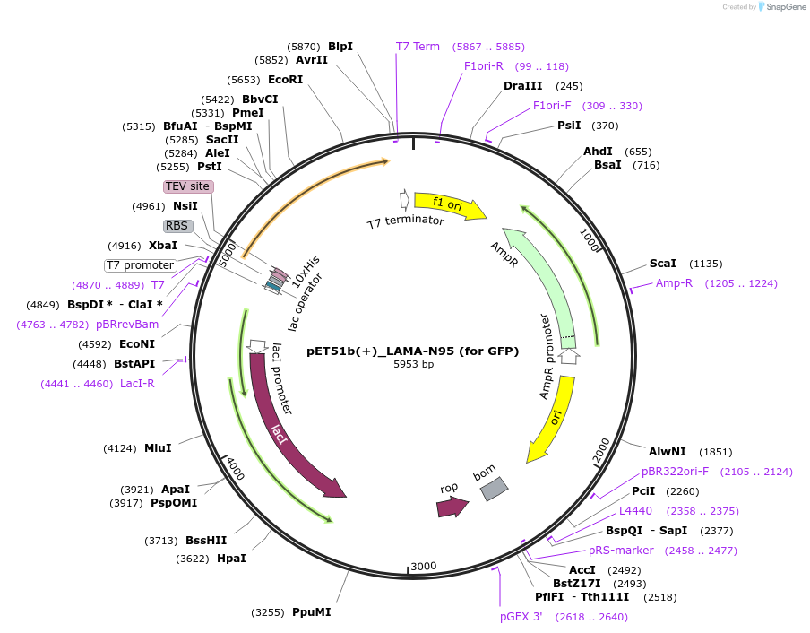 250209_map