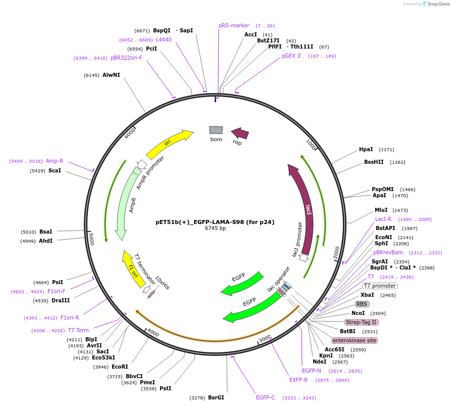 250210_map