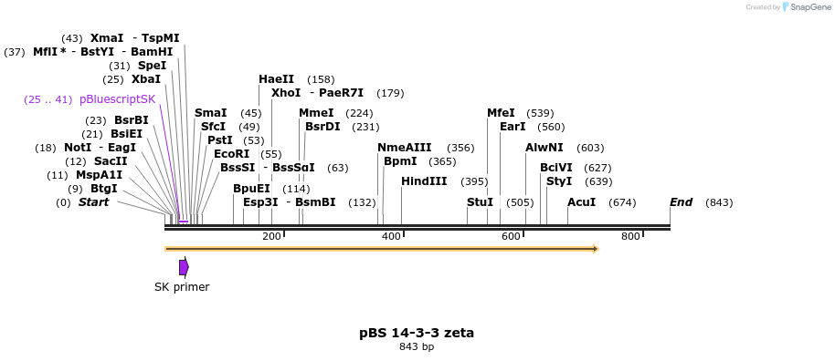 25022_map