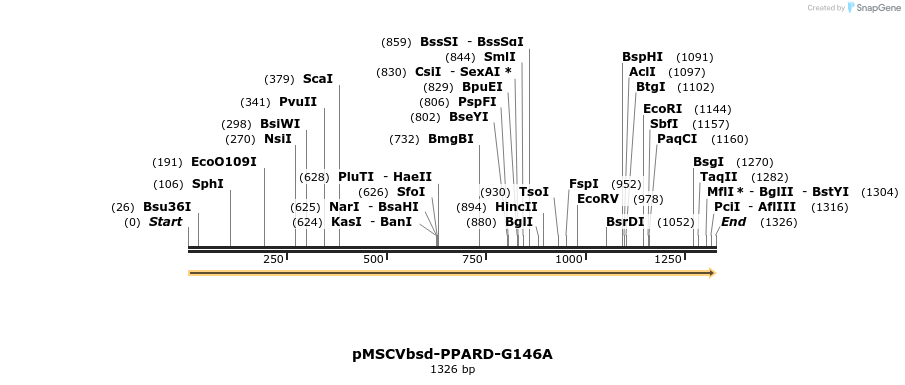 250238_map