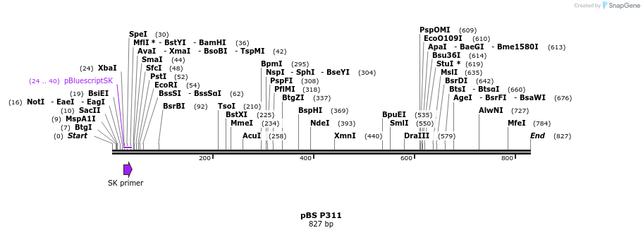 25024_map