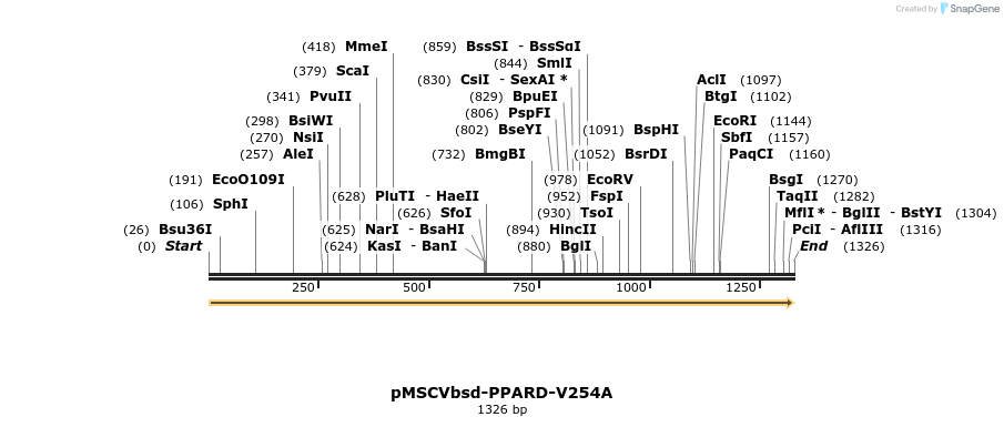 250245_map