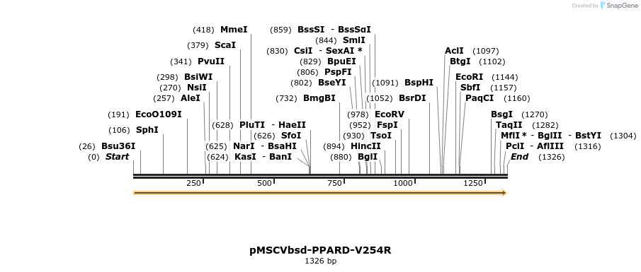 250246_map