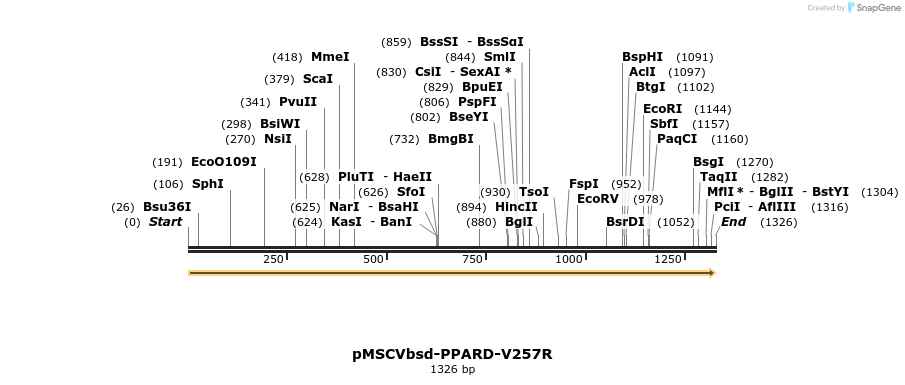 250247_map
