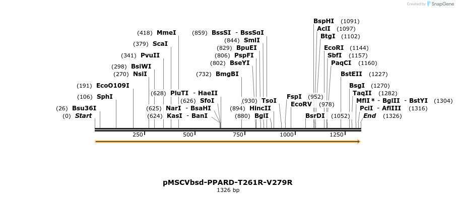 250250_map