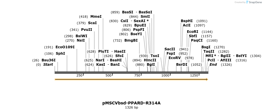 250255_map