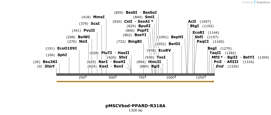 250258_map