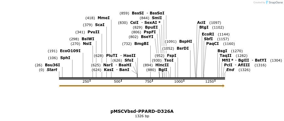 250265_map