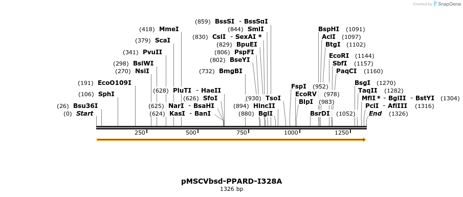 250267_map