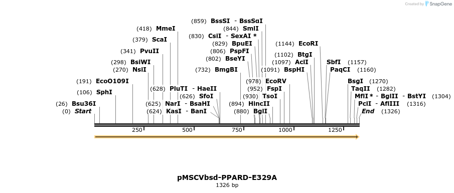 250268_map