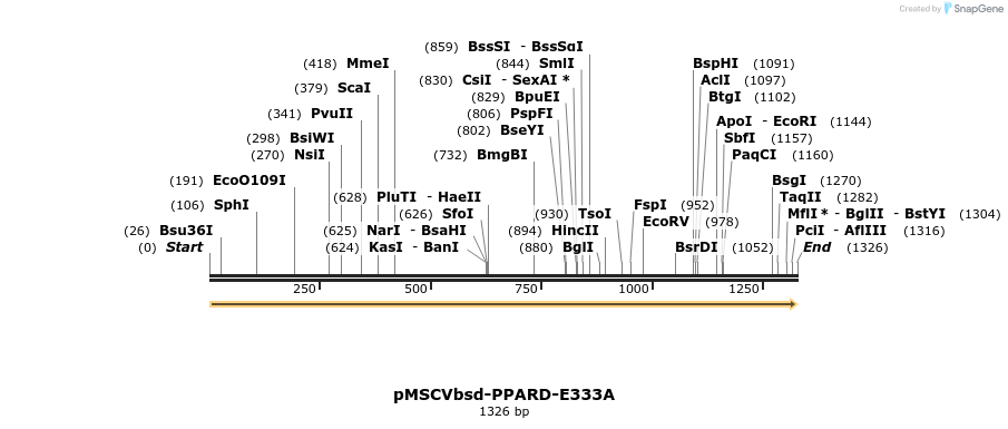 250269_map