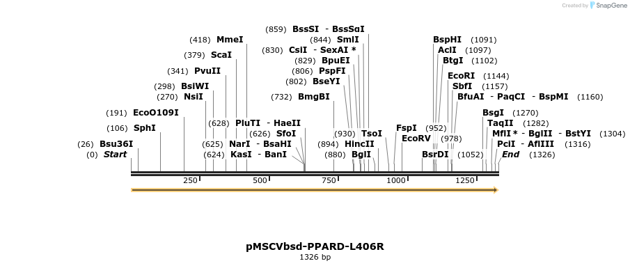 250272_map
