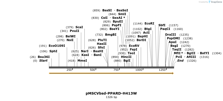 250274_map
