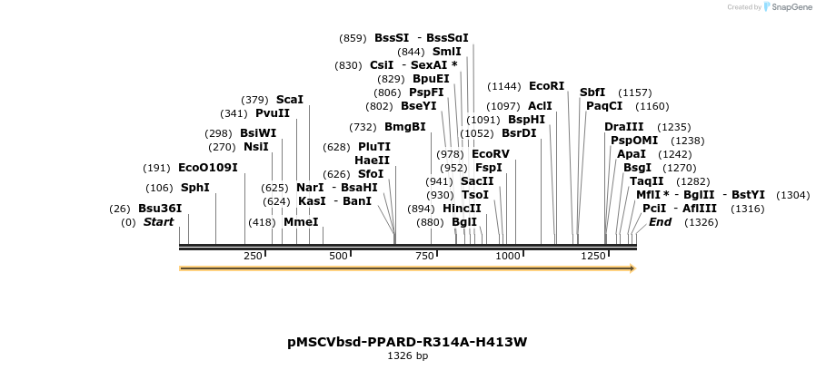 250275_map