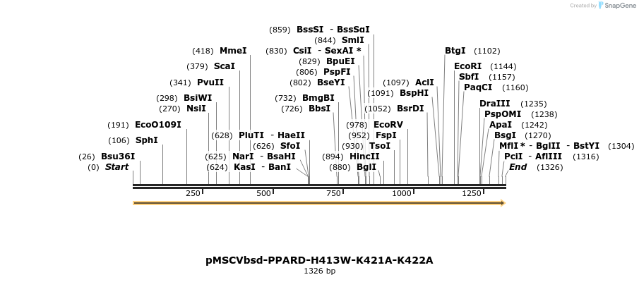 250276_map