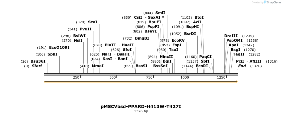 250277_map