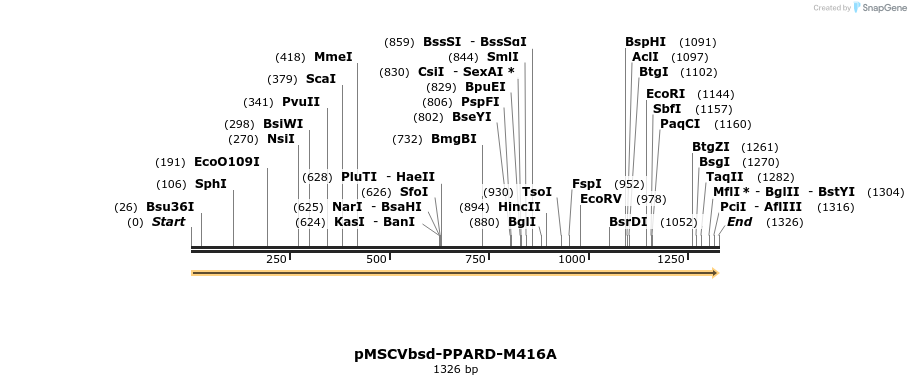 250278_map