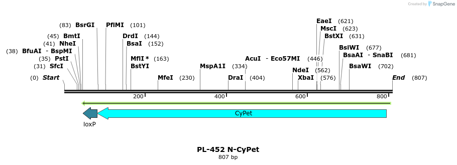 25028_map