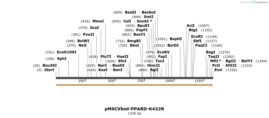 250287_map