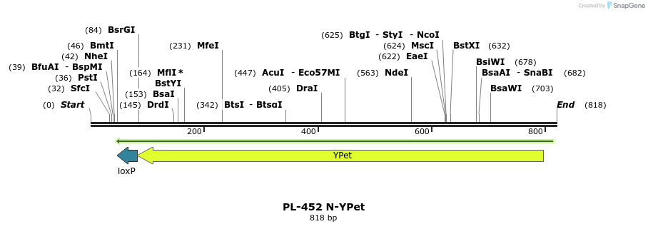 25029_map
