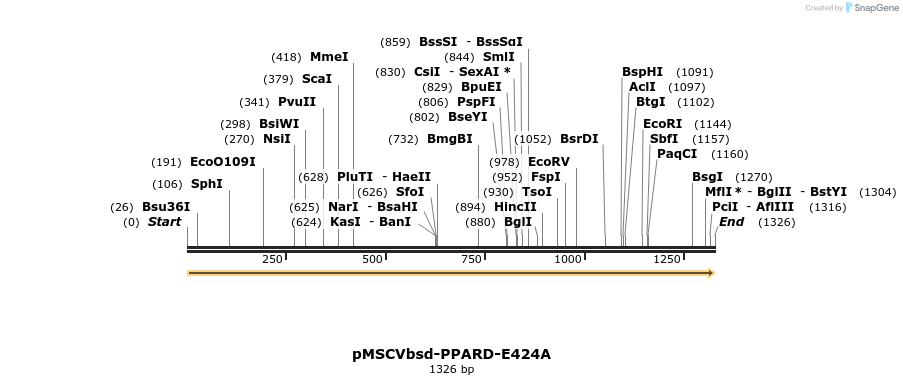 250292_map