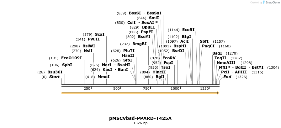 250293_map