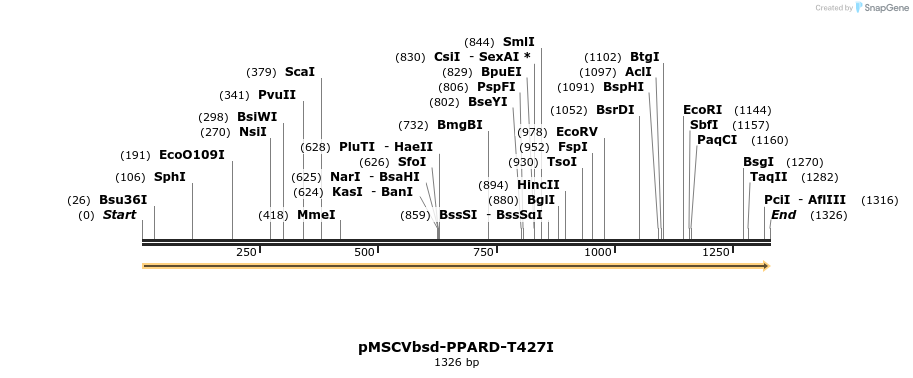 250298_map