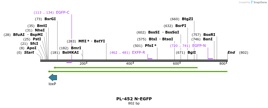 25030_map