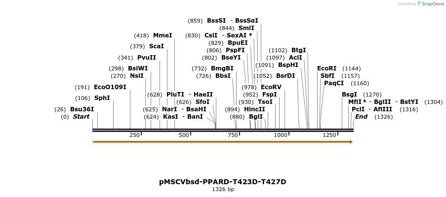 250301_map