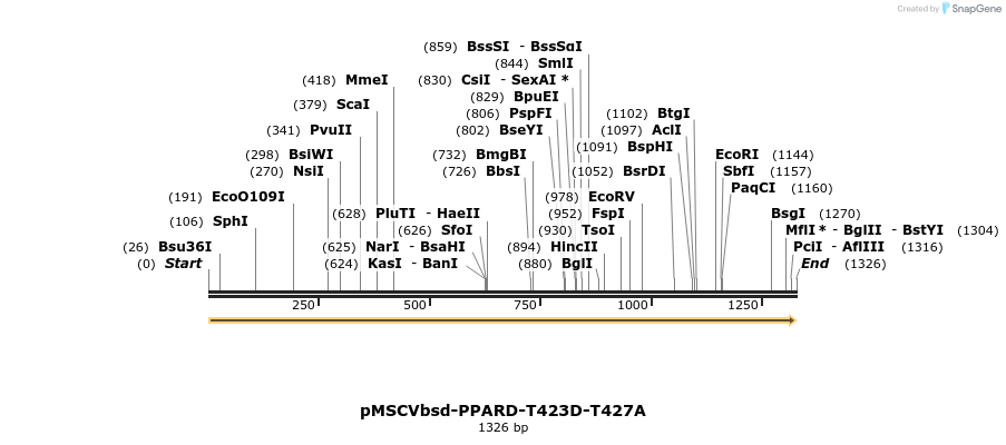 250303_map