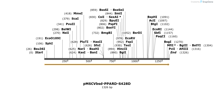 250305_map