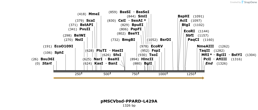 250306_map