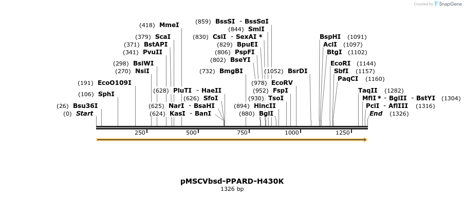 250307_map