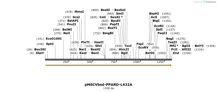 250308_map