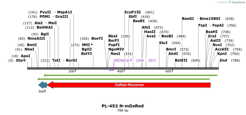 25031_map