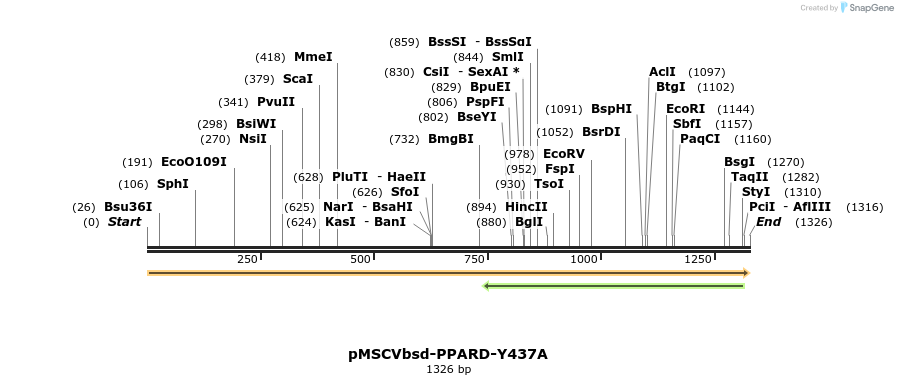 250314_map