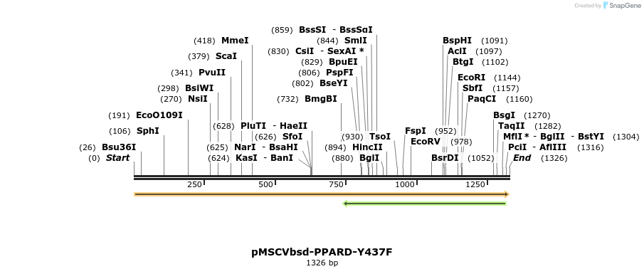 250315_map