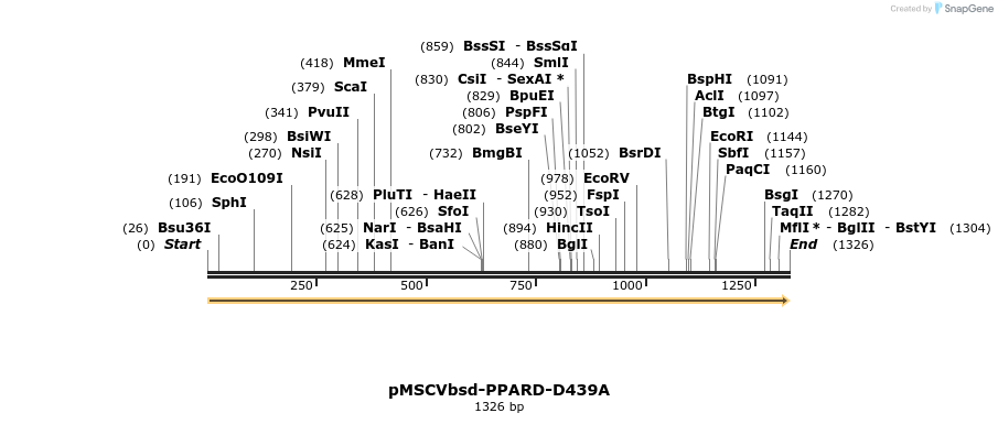 250316_map