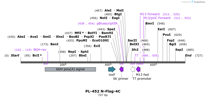 25032_map