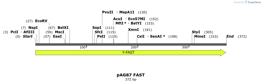 250320_map