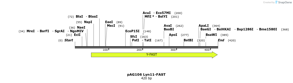250332_map