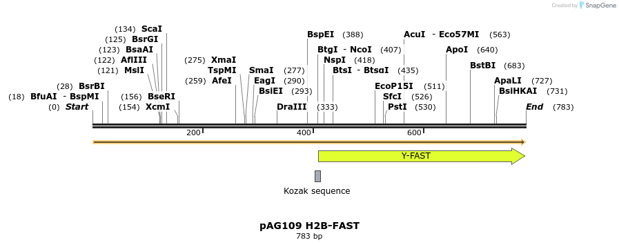 250334_map