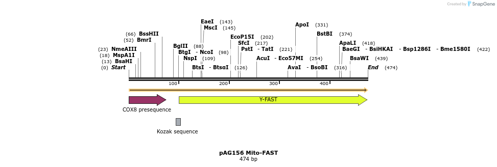 250337_map