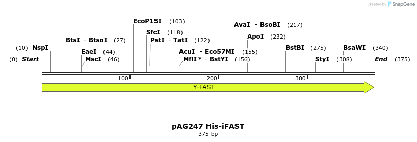 250339_map