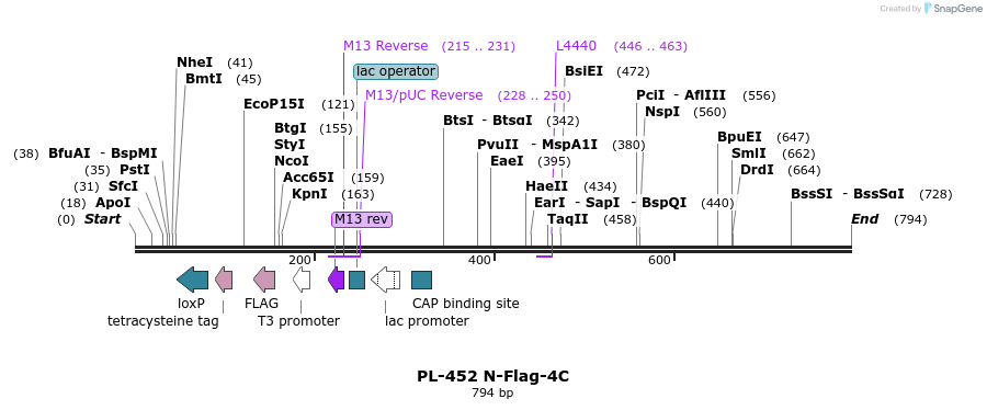25035_map