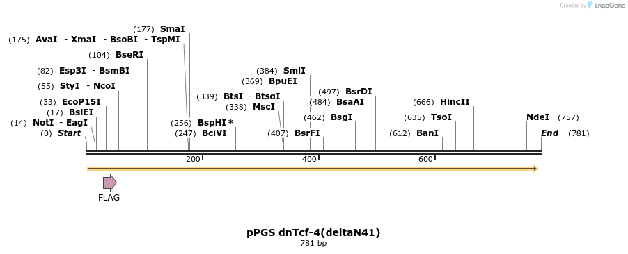 25041_map