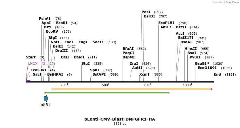 250469_map